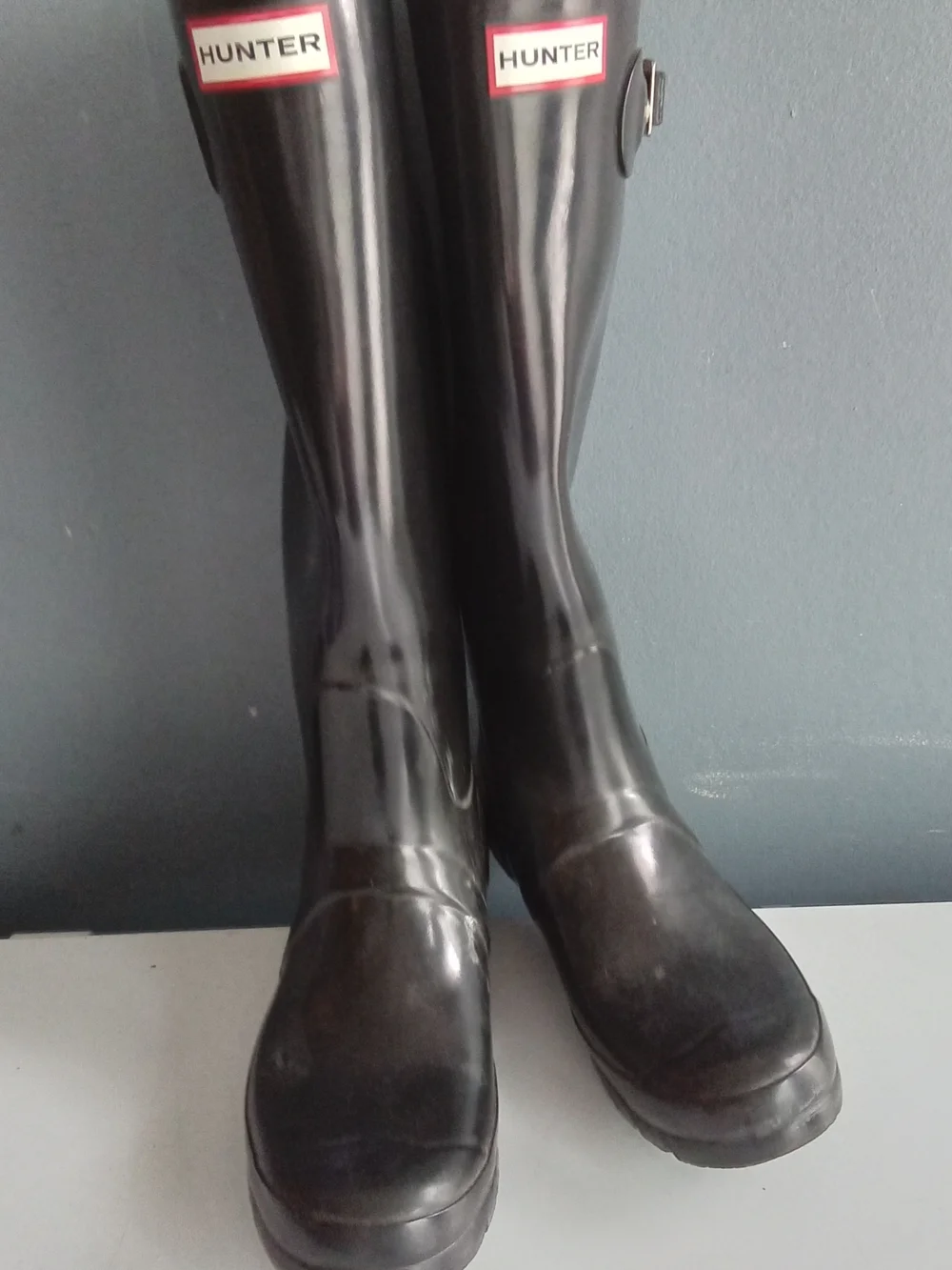 Hunter classic tall